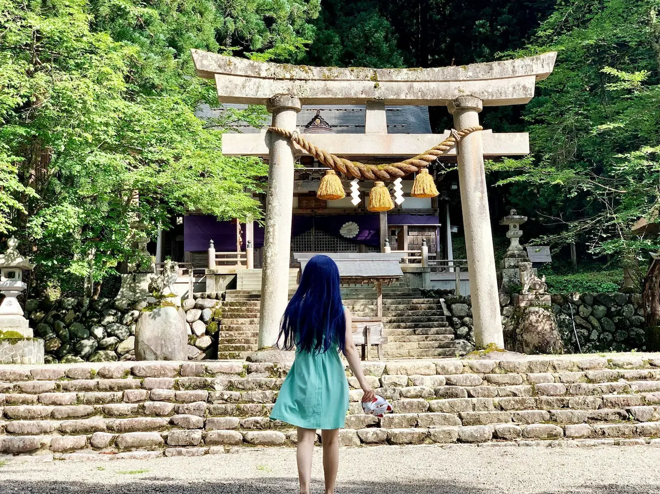 茉梨花