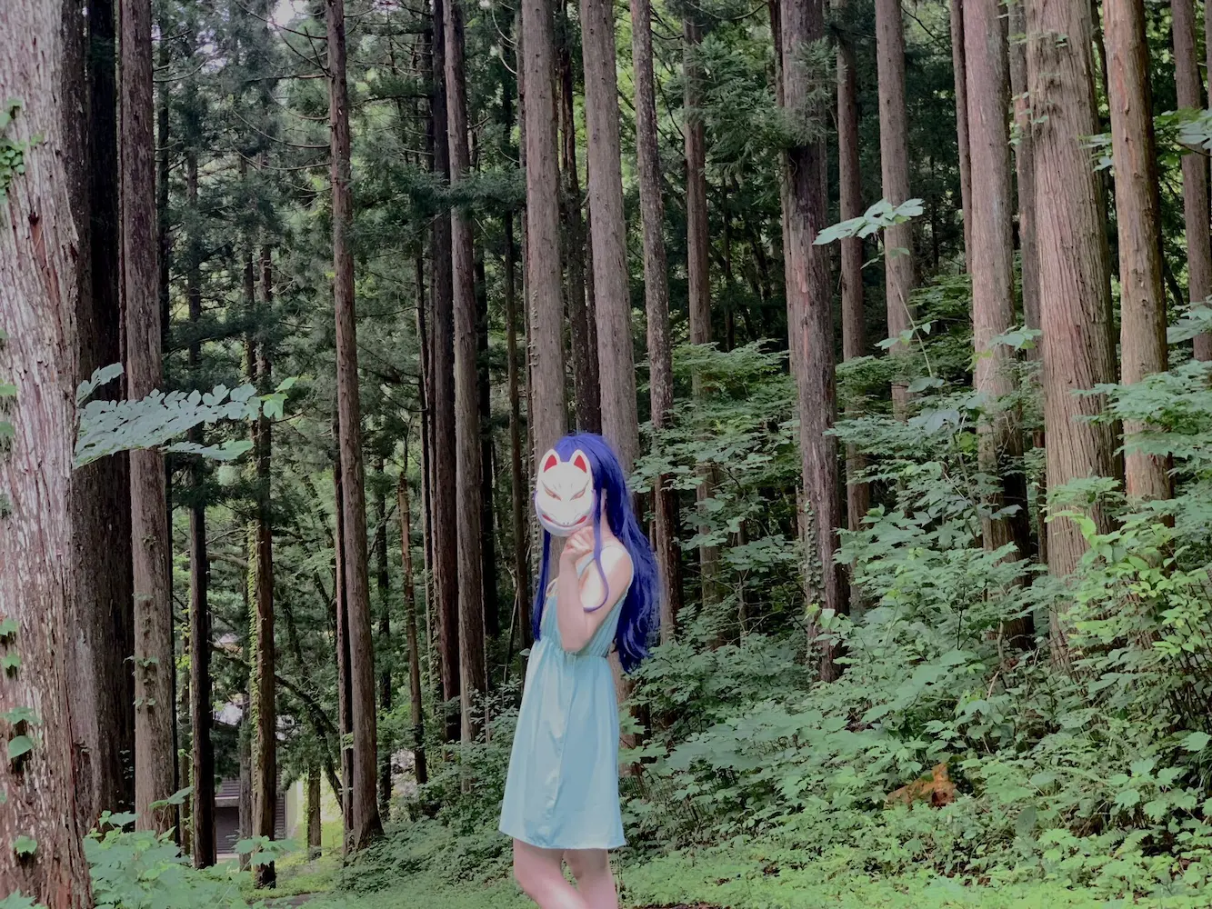 茉梨花