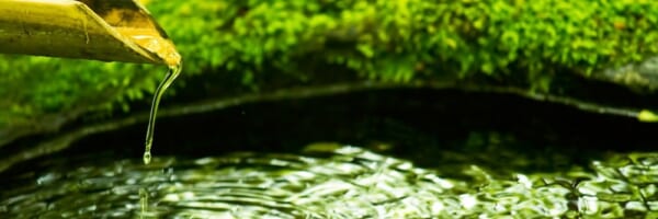 なでしこ | 毎日寸止めオナニーして射精を我慢したい人のためのファンクラブ