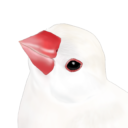 小鳥遊ととり | 文鳥のタロットルーム