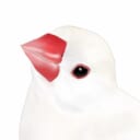 小鳥遊ととり | 文鳥のタロットルーム